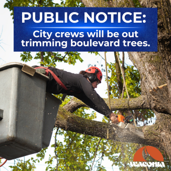 Tree Trimming Notice